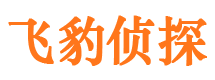 海港市侦探调查公司